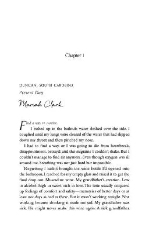 Bitter and Sweet: A Novel - Fiction