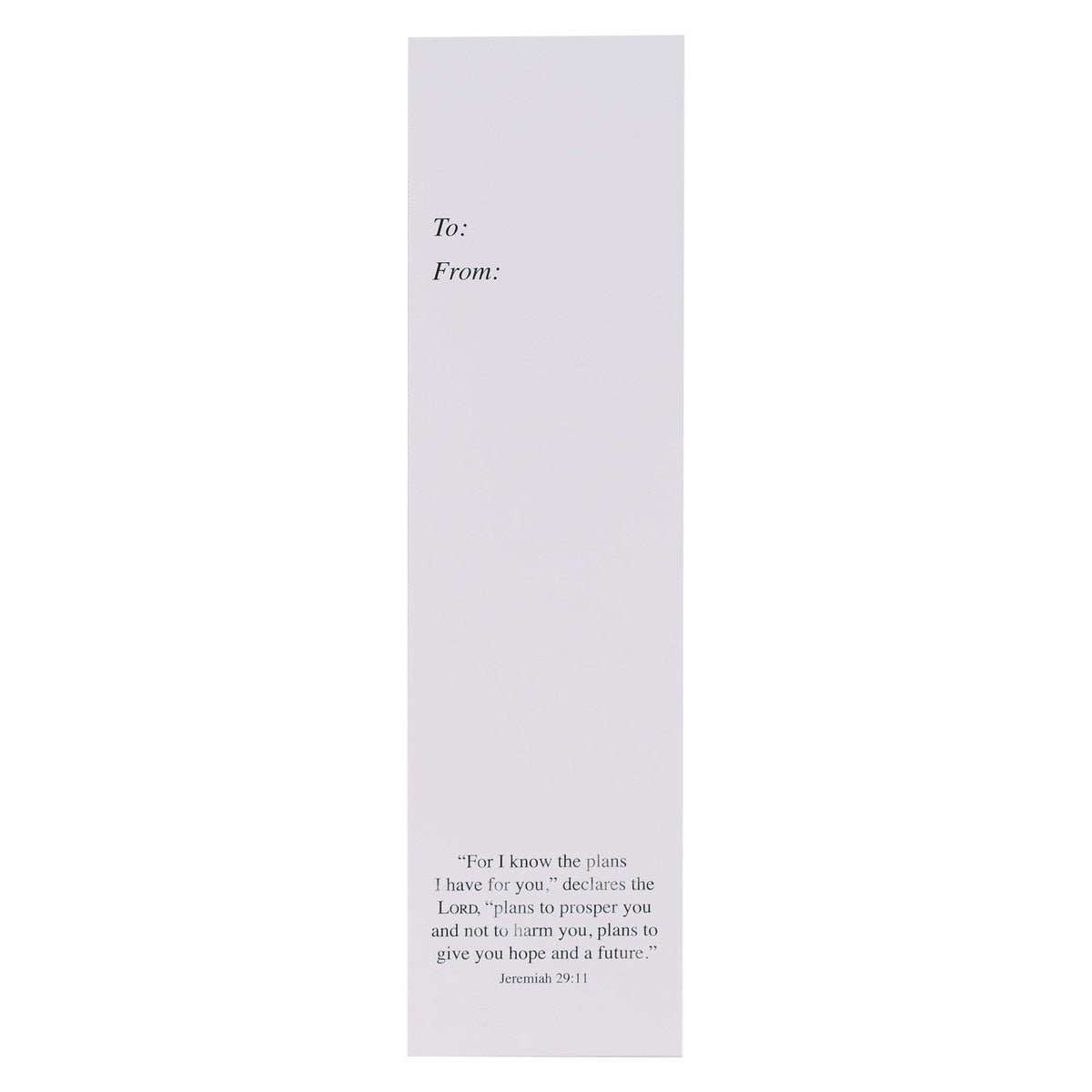 I Know The Plans Red Rocket Sunday School/Teacher Bookmark Set - Jeremiah 29:11 | Bookmarks | 2