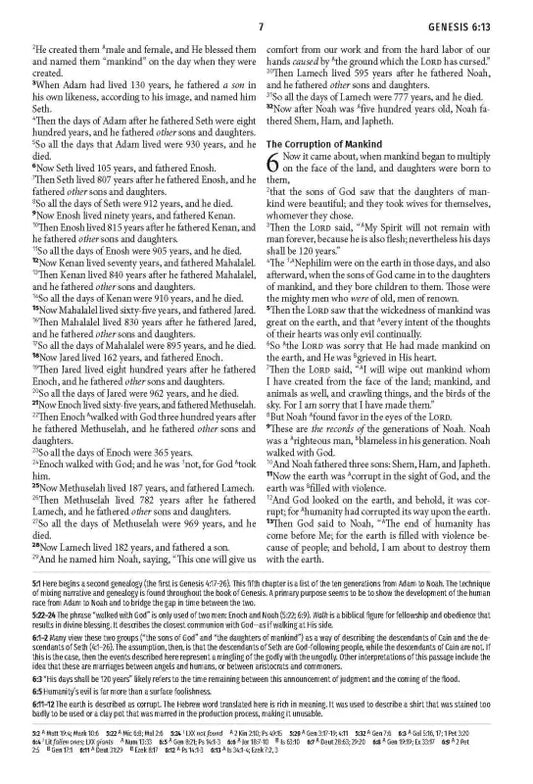 Light for Life NASB Study Bible - Mahogany Lighthouse - Bibles