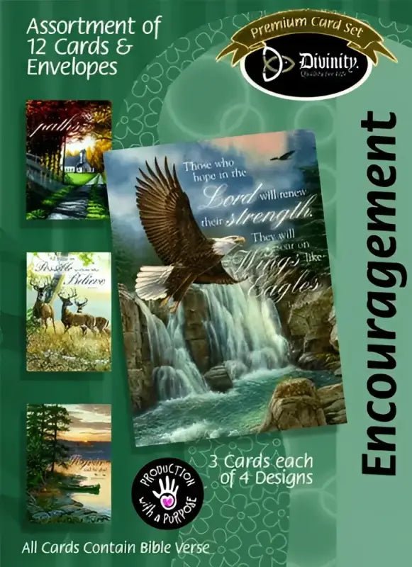 Nature Encouragement Boxed Cards - Greeting Cards card assortment