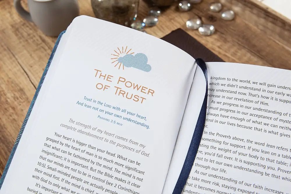 Peace in Every Storm Faux Leather Devotional - Devotionals