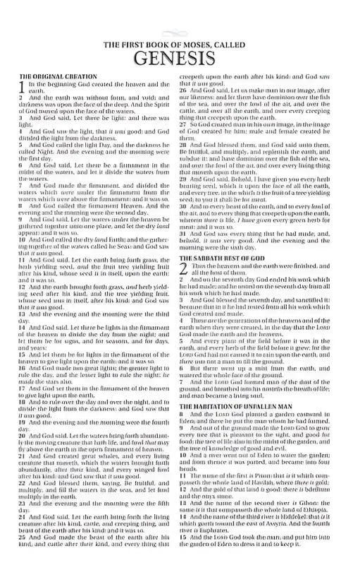 The Go-Anywhere KJV Bible for Young Men - Bibles page genesis