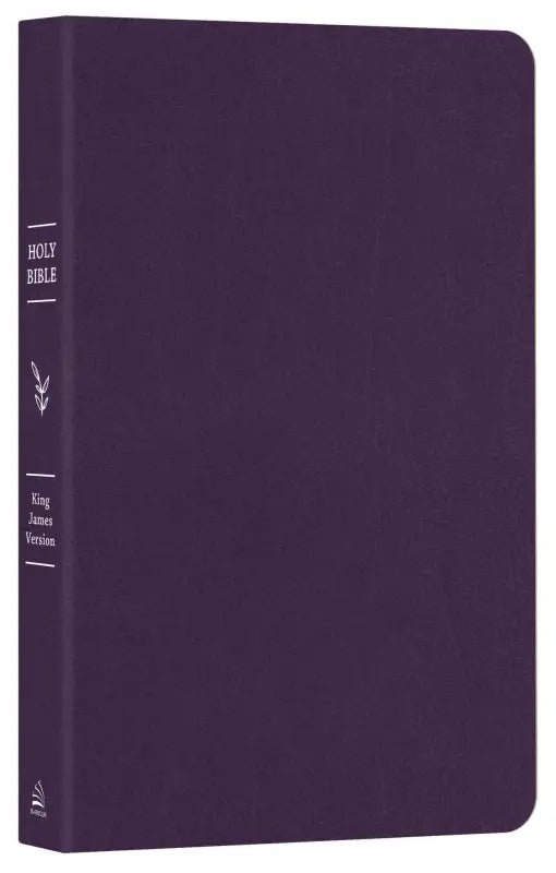 The Plum Patch Go-Anywhere KJV Bible for Young Women - Bibles purple james version bible