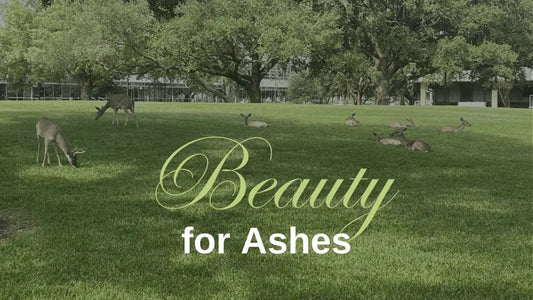 Beauty for Ashes - Fruit Bearers