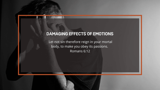 Damaging Effects of Emotions - Fruit Bearers