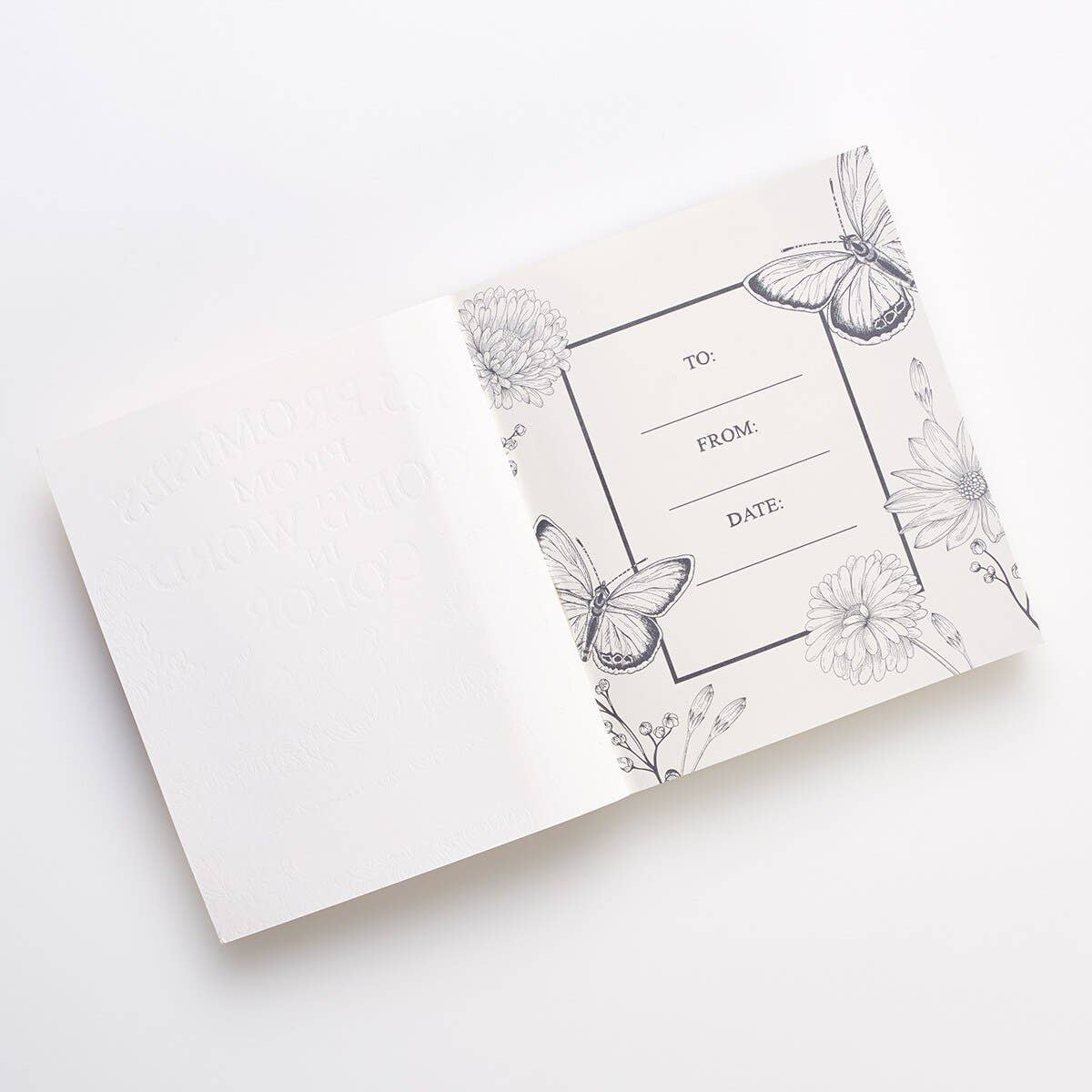 365 Promises from God’s Word in Color Devotional | Coloring Books | 3