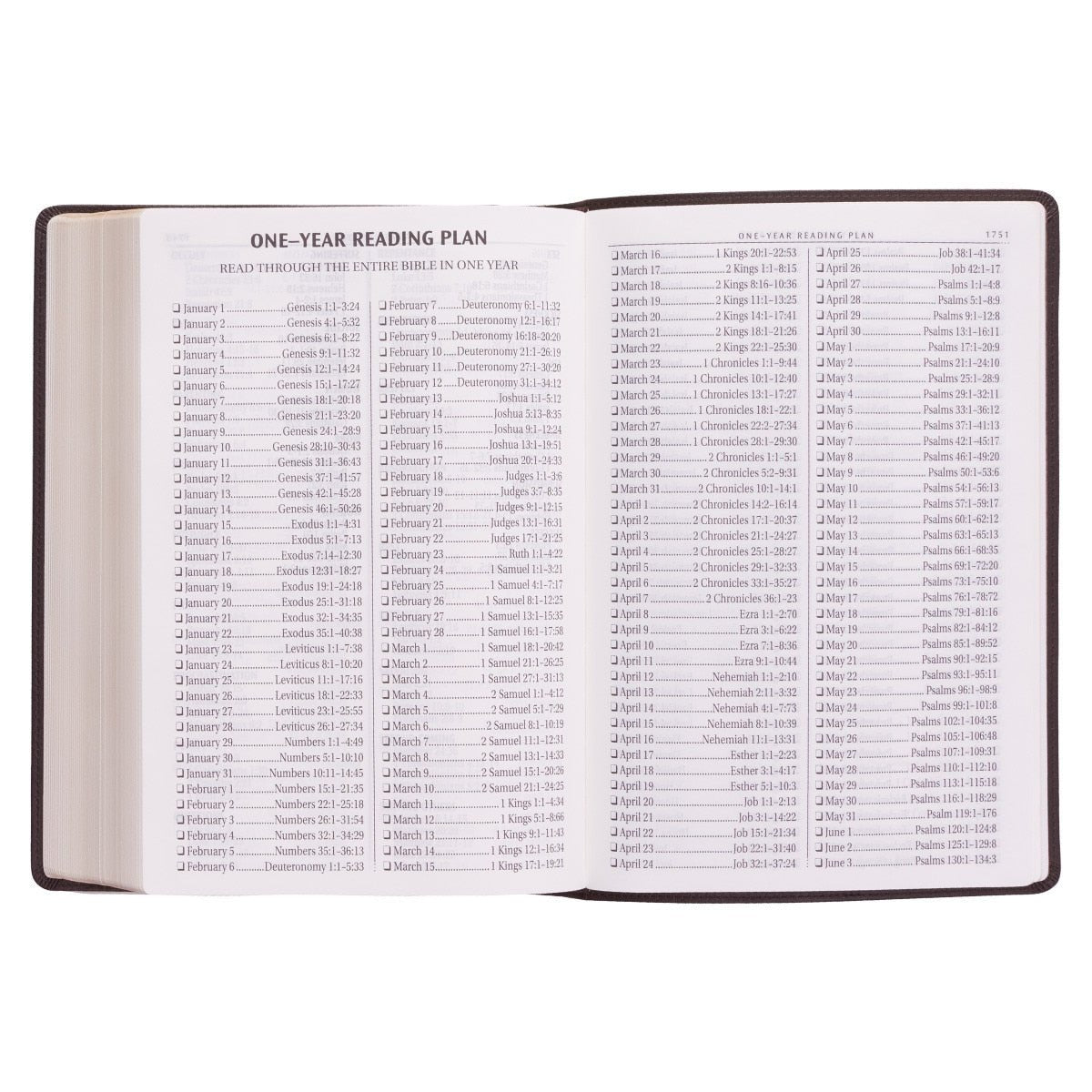 Dark Brown Faux Leather Super Giant Print King James Version Bible | Bibles | 10