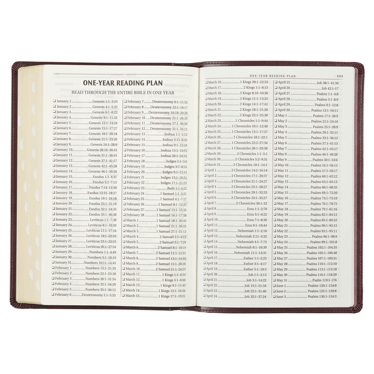 Burgundy Faux Leather Large Print Thinline King James Version Bible with Thumb Index | Bibles | 8