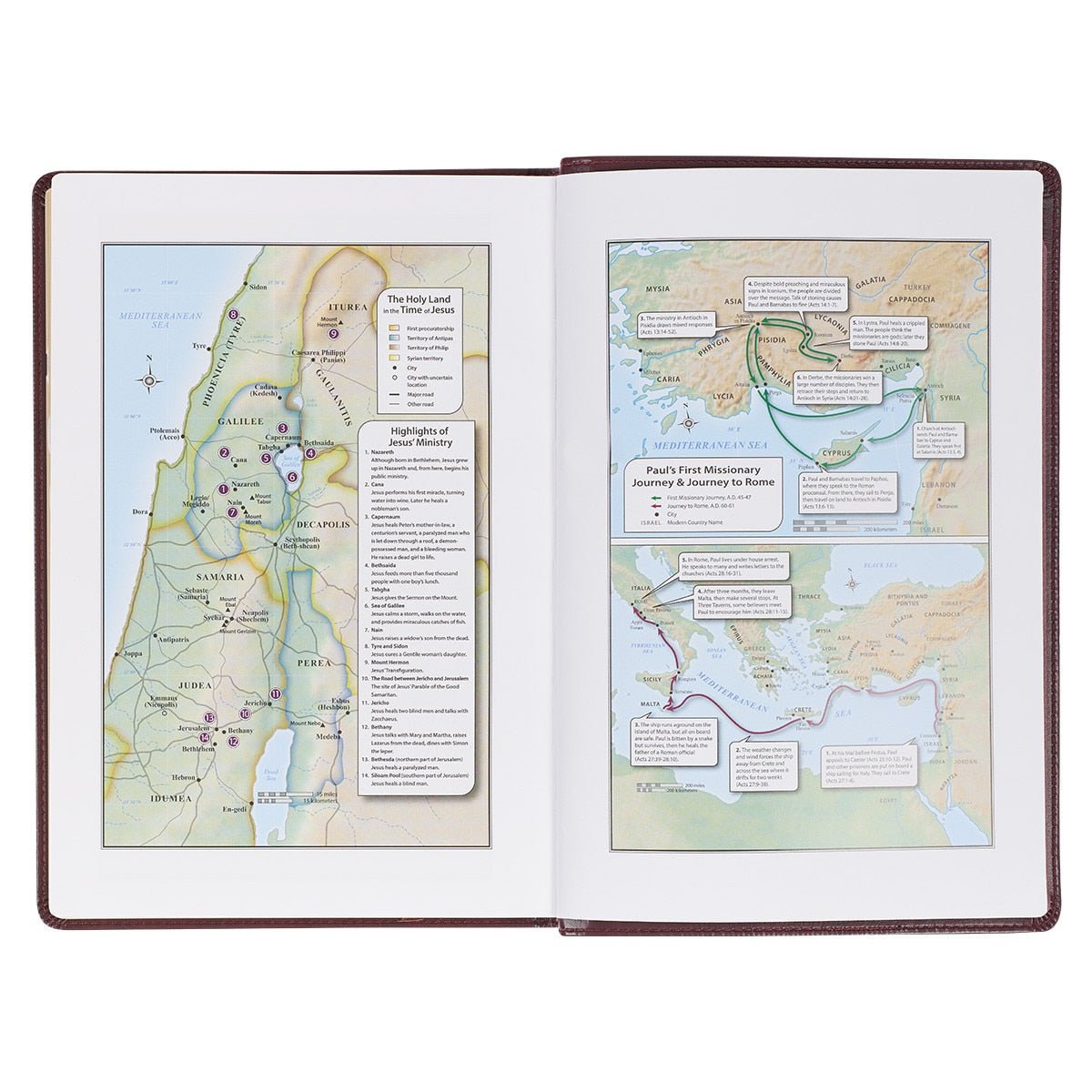 Burgundy Faux Leather Large Print Thinline King James Version Bible with Thumb Index | Bibles | 6