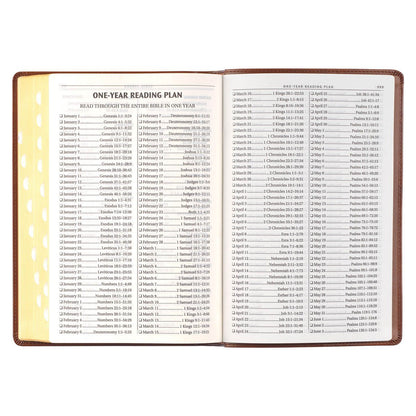 Antiqued Brown Faux Leather Large Print Thinline King James Version Bible with Thumb Index | Bibles | 8