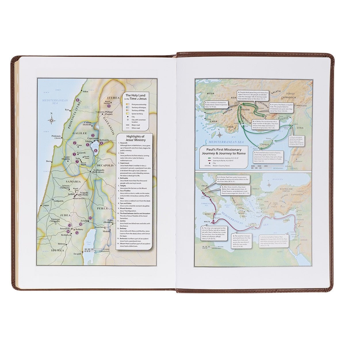 Antiqued Brown Faux Leather Large Print Thinline King James Version Bible with Thumb Index | Bibles | 6