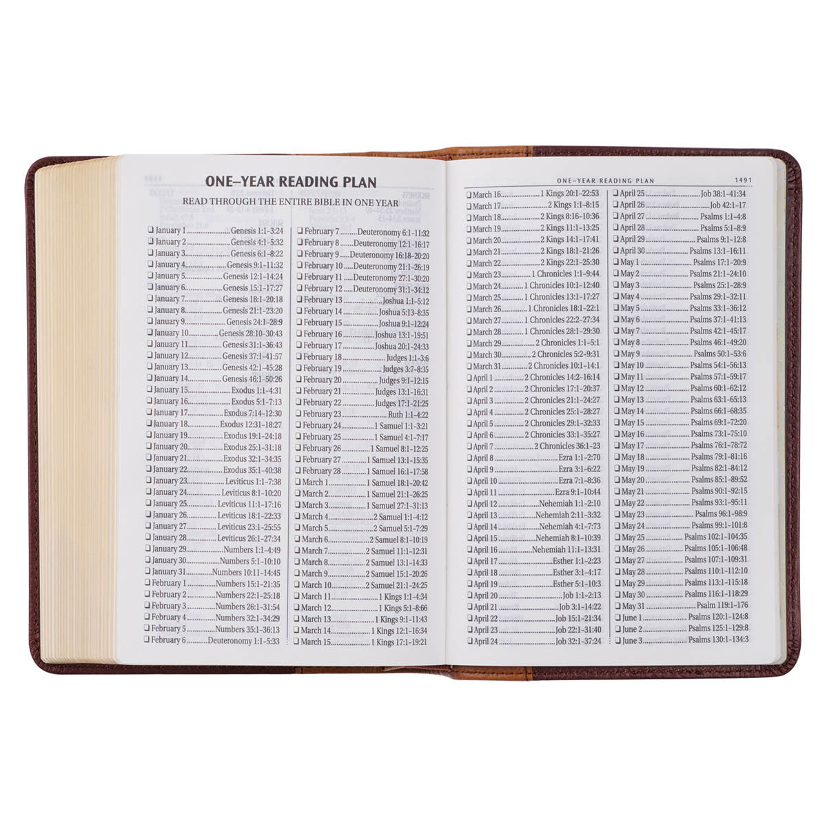 Saddle Tan and Butterscotch Large Print Compact King James Version Bible | Bibles | 9
