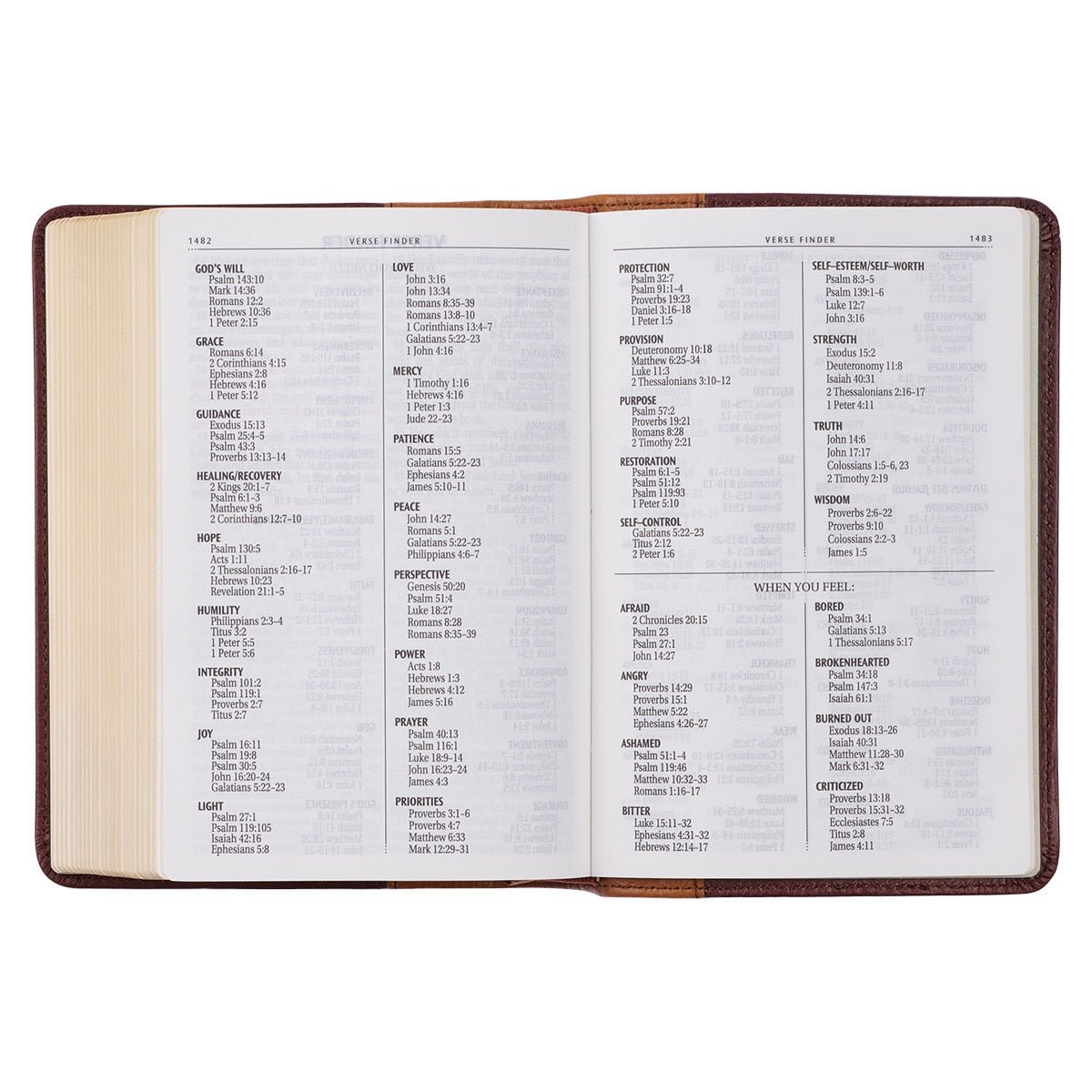 Saddle Tan and Butterscotch Large Print Compact King James Version Bible | Bibles | 10