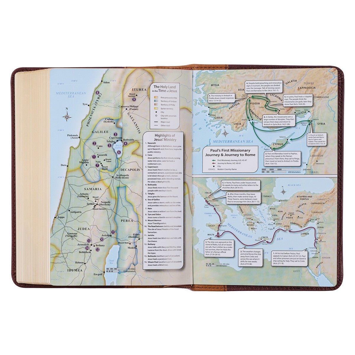 Saddle Tan and Butterscotch Large Print Compact King James Version Bible | Bibles | 6