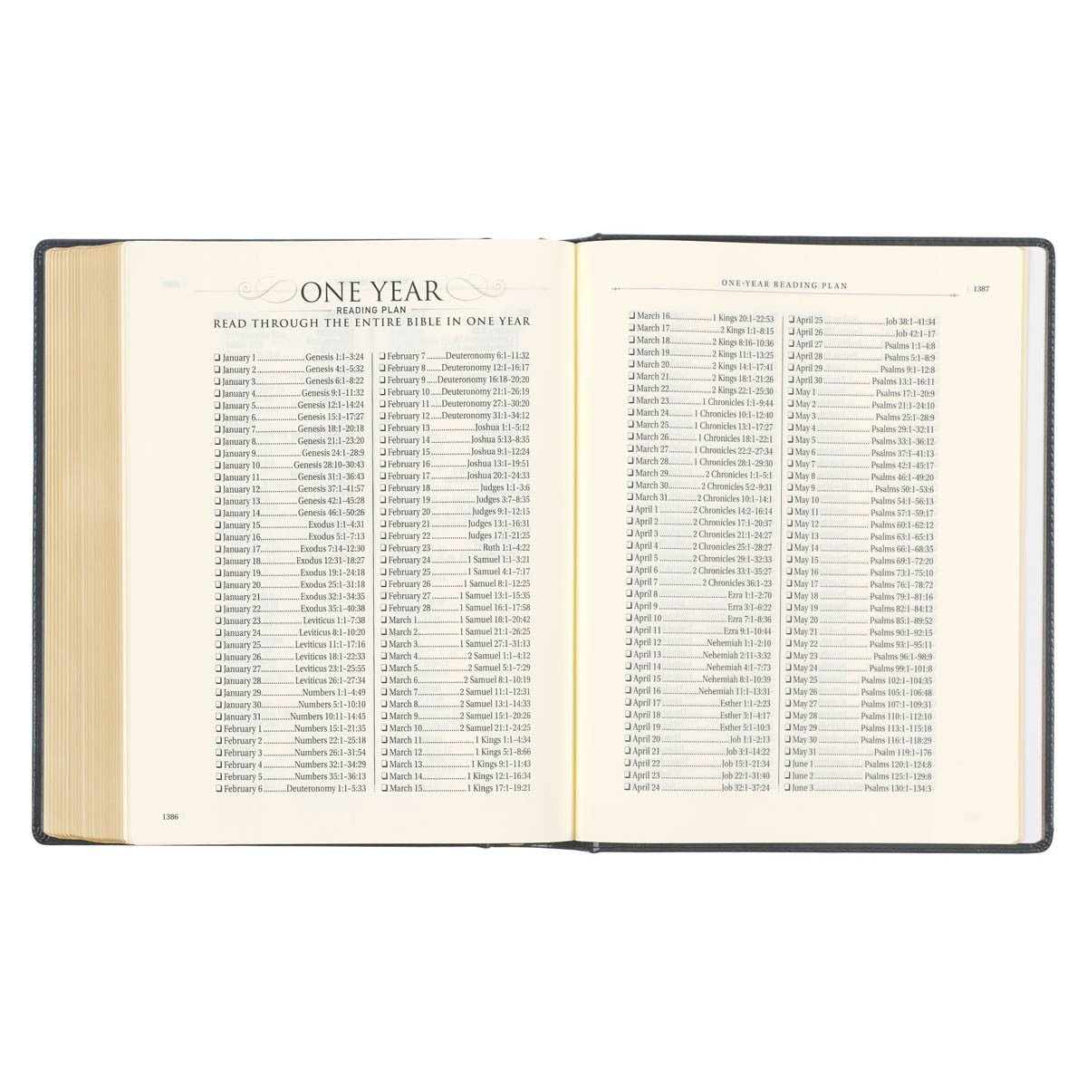 Iron Gray Faux Leather Large Print KJV Note - taking Bible – Hardcover Edition | Bibles | 10