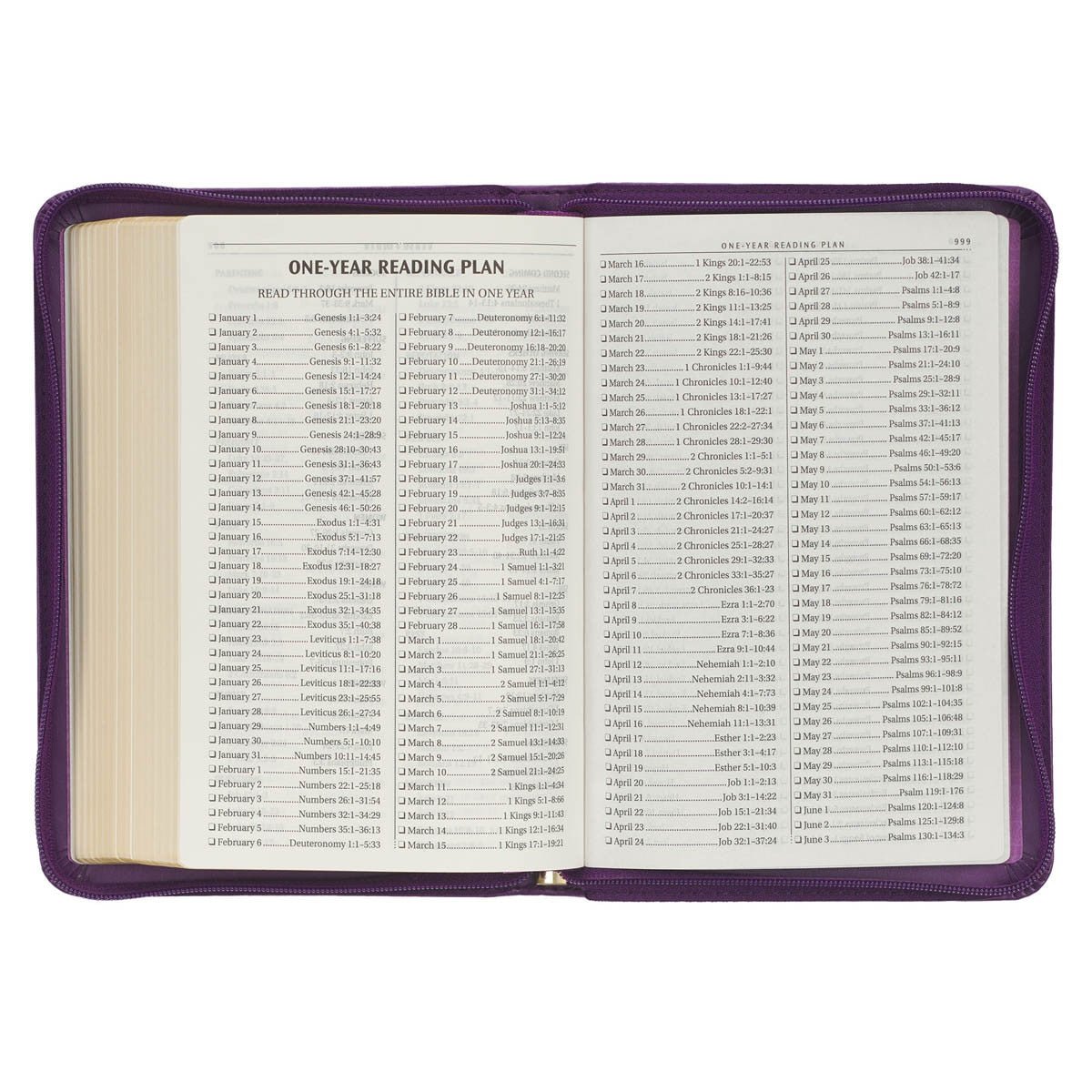 Iris Purple Faux Leather Compact King James Version Bible with Zippered Closure | Bibles | 7