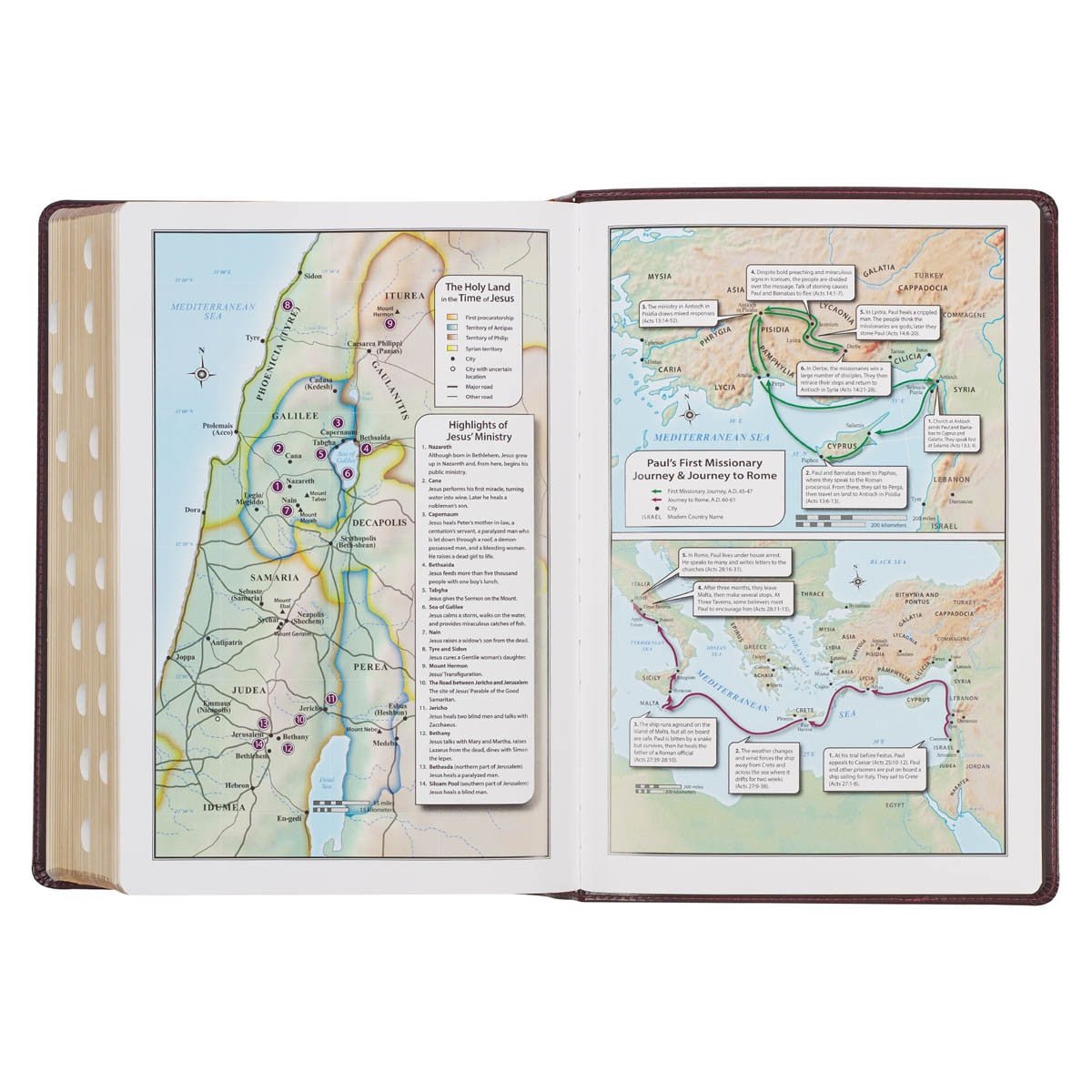 Large Print KJV Study Bible in Burgundy and Saddle Tan with Thumb Index | Bibles | 5