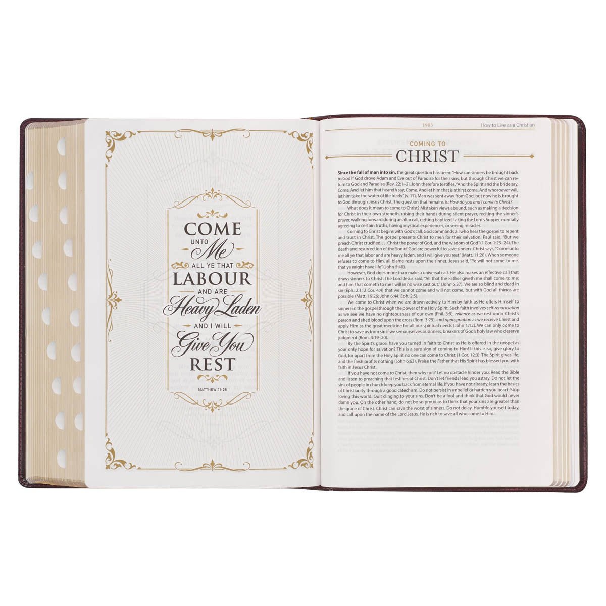 Large Print KJV Study Bible in Burgundy and Saddle Tan with Thumb Index | Bibles | 6