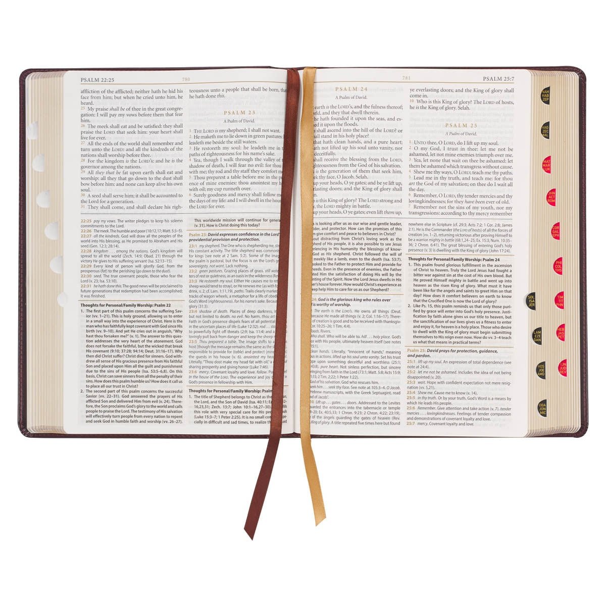 Large Print KJV Study Bible in Burgundy and Saddle Tan with Thumb Index | Bibles | 7