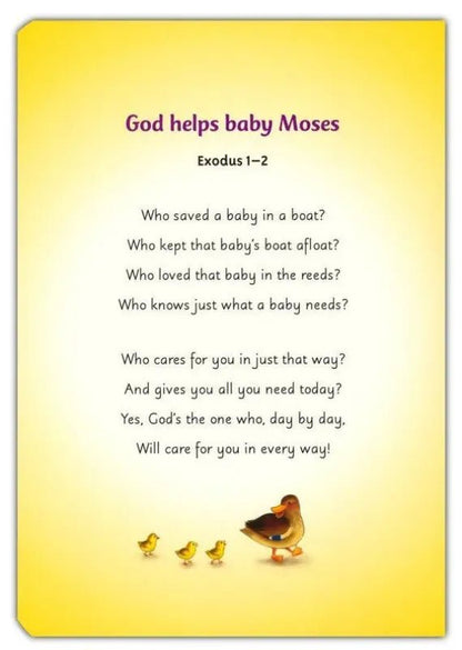 Baby’s Carry Along Bible - Bibles