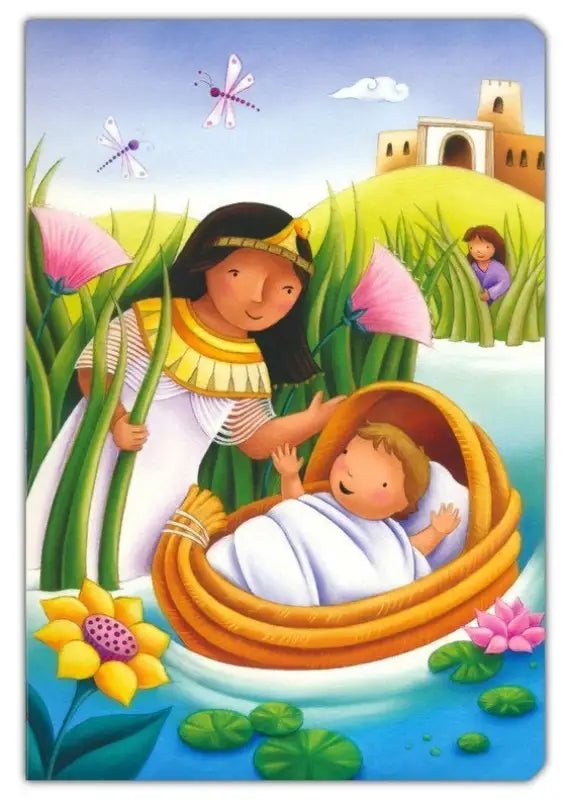 Baby’s Carry Along Bible - Bibles