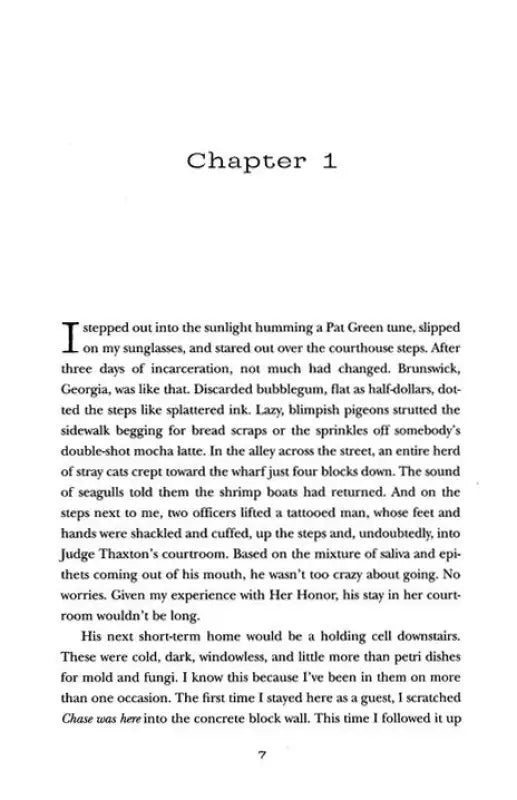 Chasing Fireflies - Fiction Books