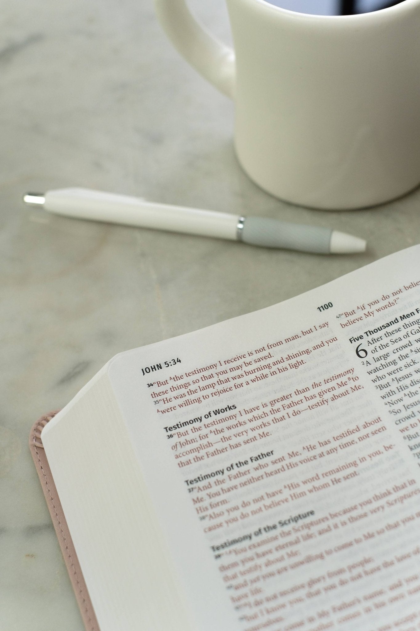 Light for Life NASB Study Bible - Blush Bouquet | 2FruitBearers