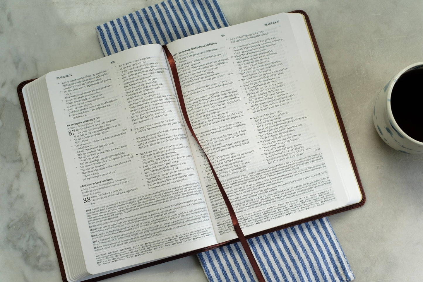 Light for Life NASB Study Bible - Mahogany Lighthouse | 2FruitBearers