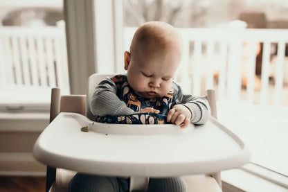 Lion Silicone Bib with Crumb Catcher by Three Little Tots - Baby Bibs