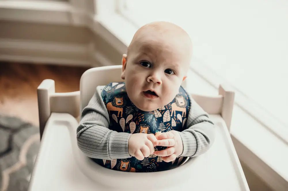 Lion Silicone Bib with Crumb Catcher by Three Little Tots - Baby Bibs