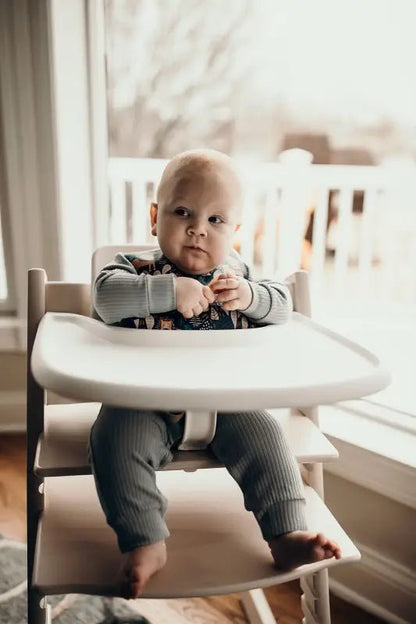 Lion Silicone Bib with Crumb Catcher by Three Little Tots - Baby Bibs