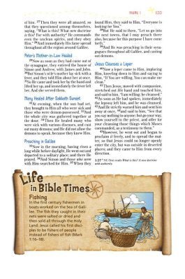 NKJV, Adventure Bible, Soft leather - look | Bibles | 6