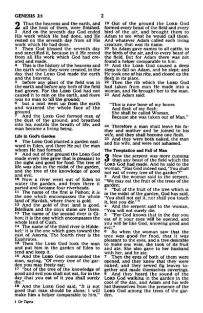 NKJV Baby’s First Bible – Hardcover Christian Baby Gift with Scripture & Duck Design by Beverly Luedecke - Bibles