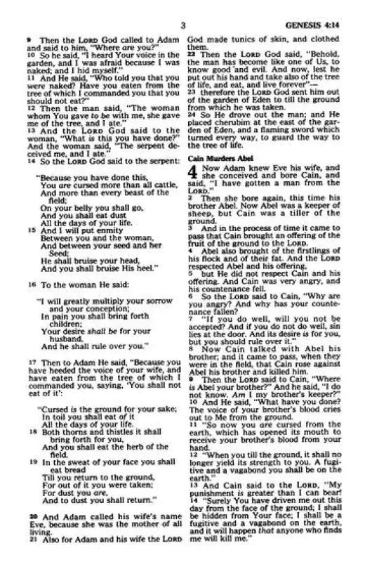 NKJV Baby’s First Bible – Hardcover Christian Baby Gift with Scripture & Duck Design by Beverly Luedecke - Bibles