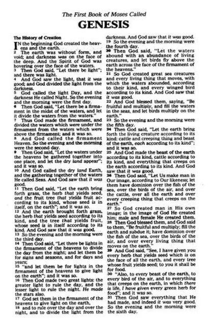 NKJV Baby’s First Bible – Hardcover Christian Baby Gift with Scripture & Duck Design by Beverly Luedecke - Bibles