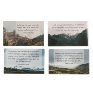 Promises from God FaithBuilders Set | Scripture Cards | 2