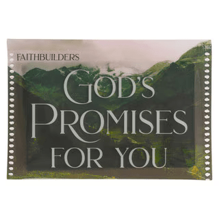 Promises from God FaithBuilders Set | Scripture Cards | 1