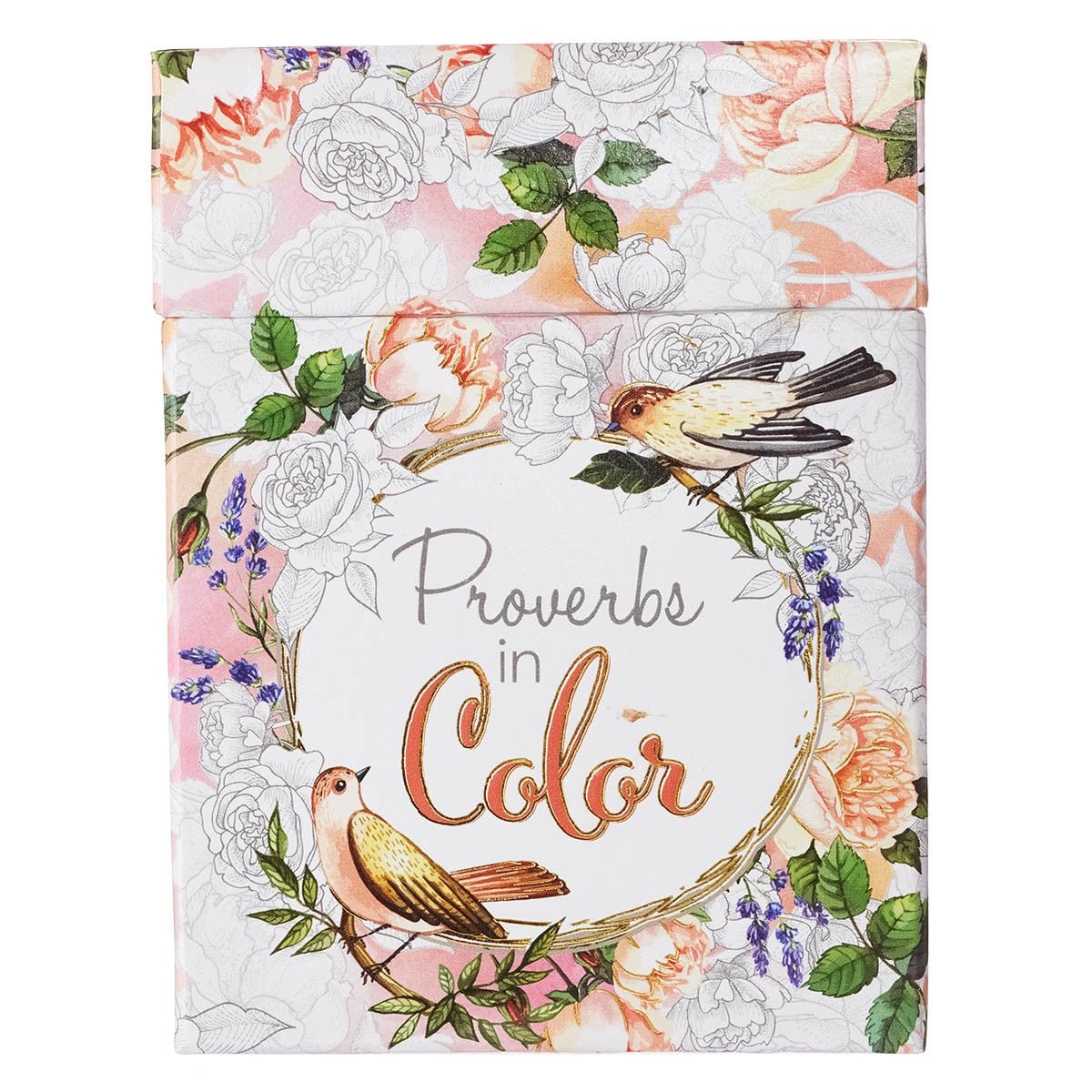 Proverbs in Color Coloring Cards | Scripture Cards | 1