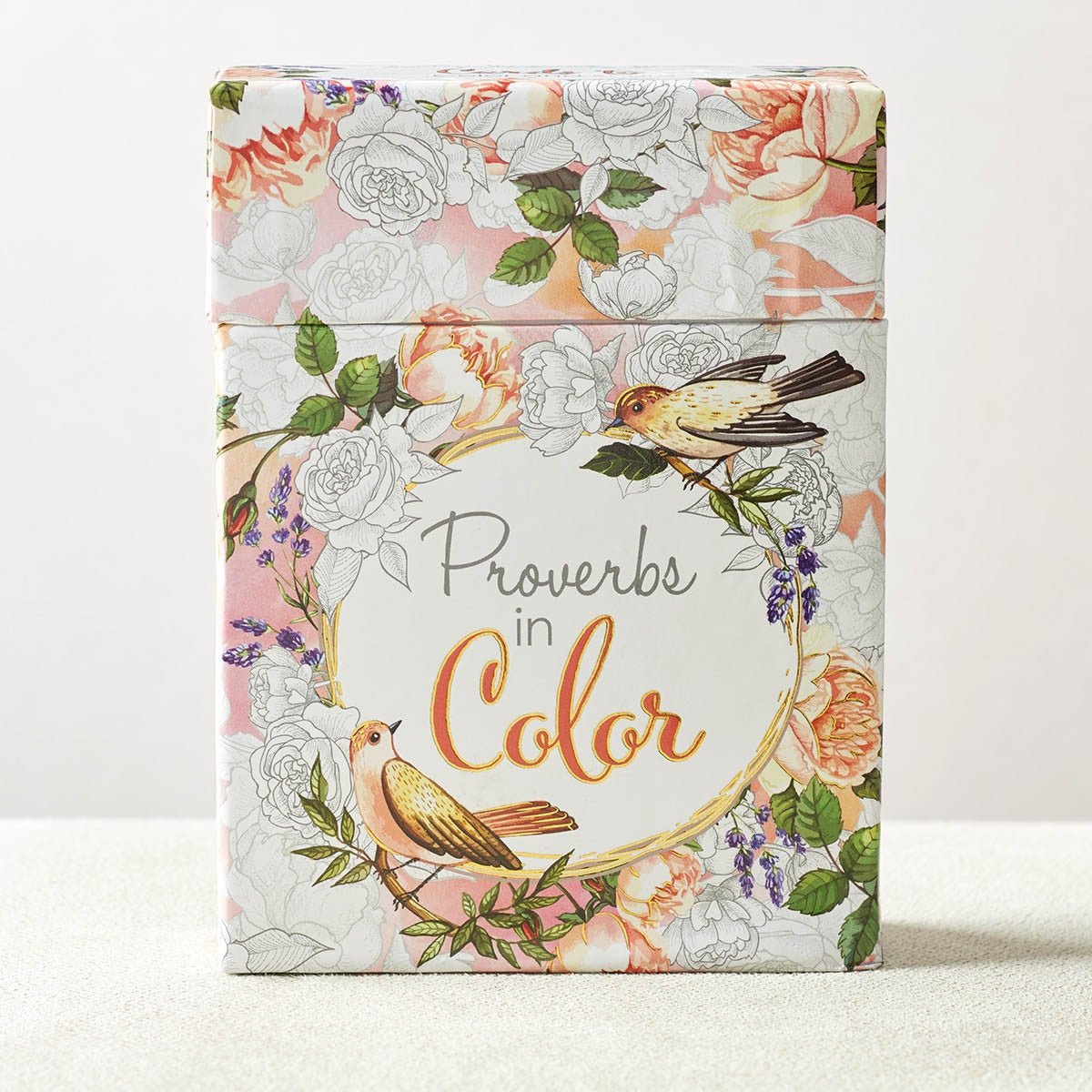 Proverbs in Color Coloring Cards | Scripture Cards | 5
