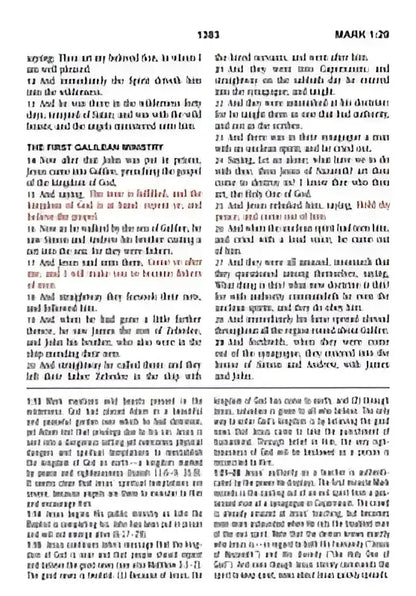 The KJV Study Bible Large Print - Black Genuine Leather - Bibles biblical text excerpt